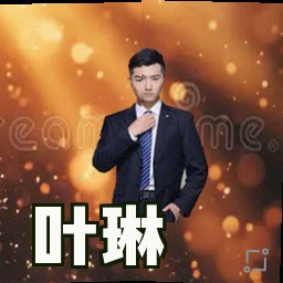 叶琳